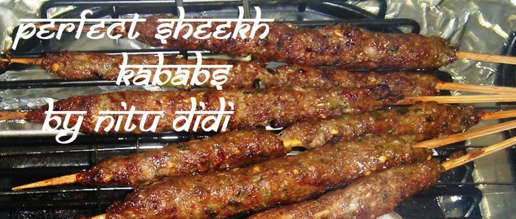 THE ART OF MAKING THE PERFECT KABAB | nitu didi